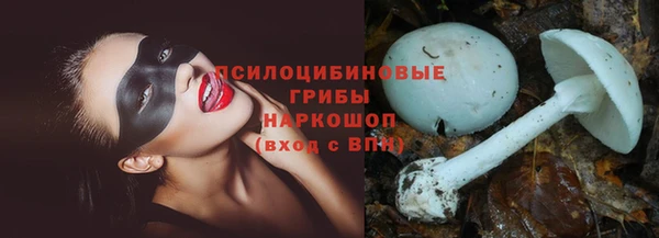 2c-b Алзамай